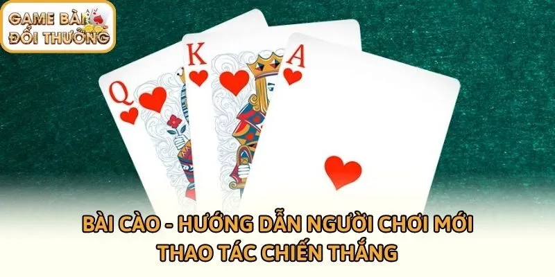 Bài Cào - Hướng Dẫn Người Chơi Mới Thao Tác Chiến Thắng