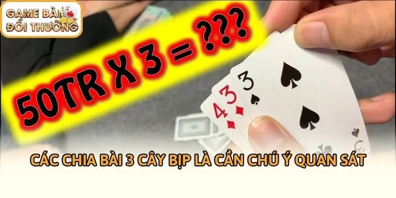 Các chia bài 3 cây bịp là cần chú ý quan sát