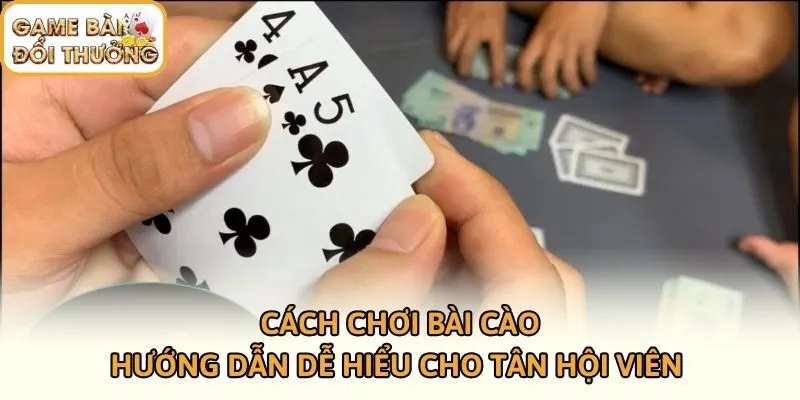 Cách Chơi Bài Cào | Hướng Dẫn Dễ Hiểu Cho Tân Hội Viên 