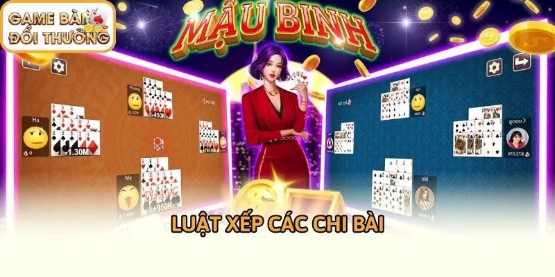 Luật xếp các chi bài