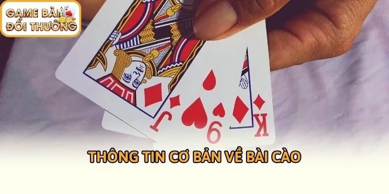 Thông tin cơ bản về bài cào