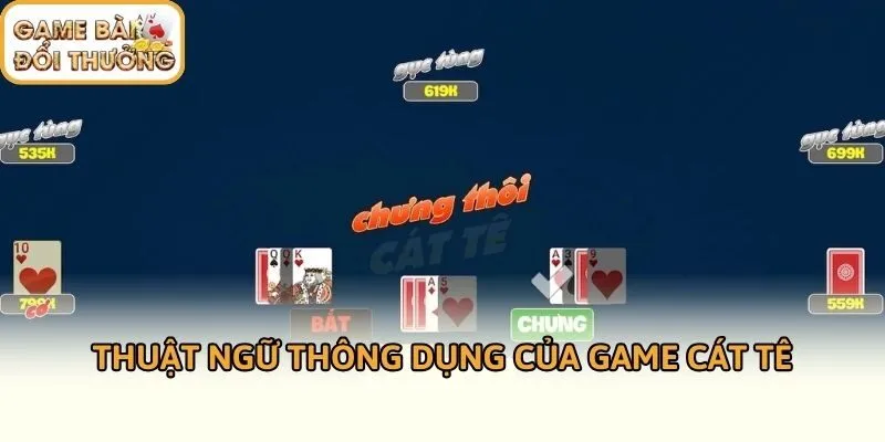 Thuật ngữ thông dụng của game Cát Tê
